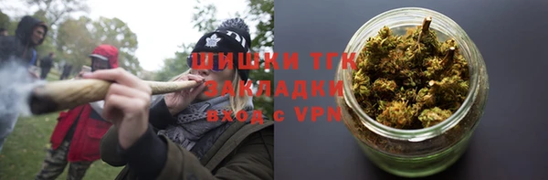 дживик Арсеньев