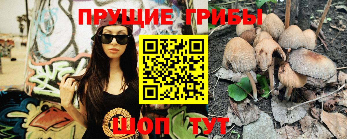 Галлюциногенные грибы Cubensis Аша